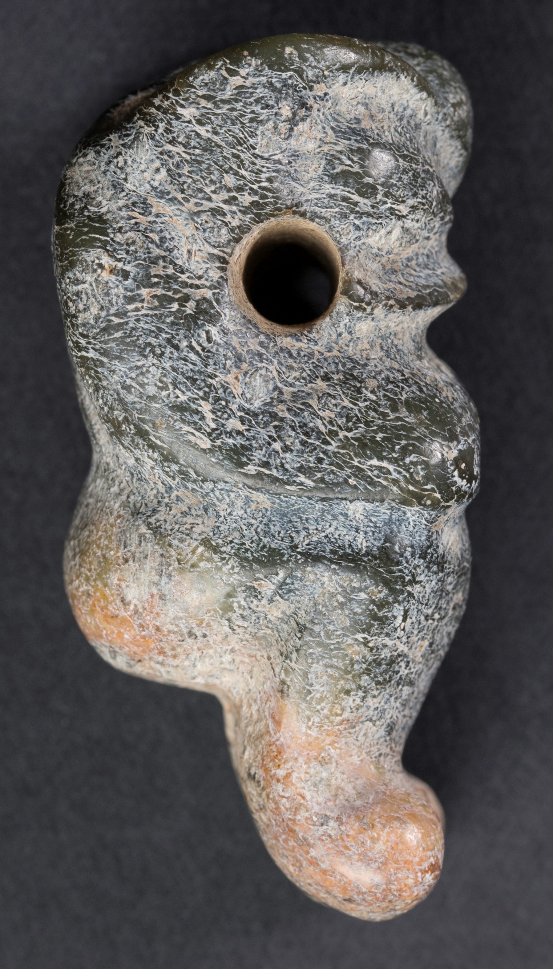 Pig dragon with a pair of legs.