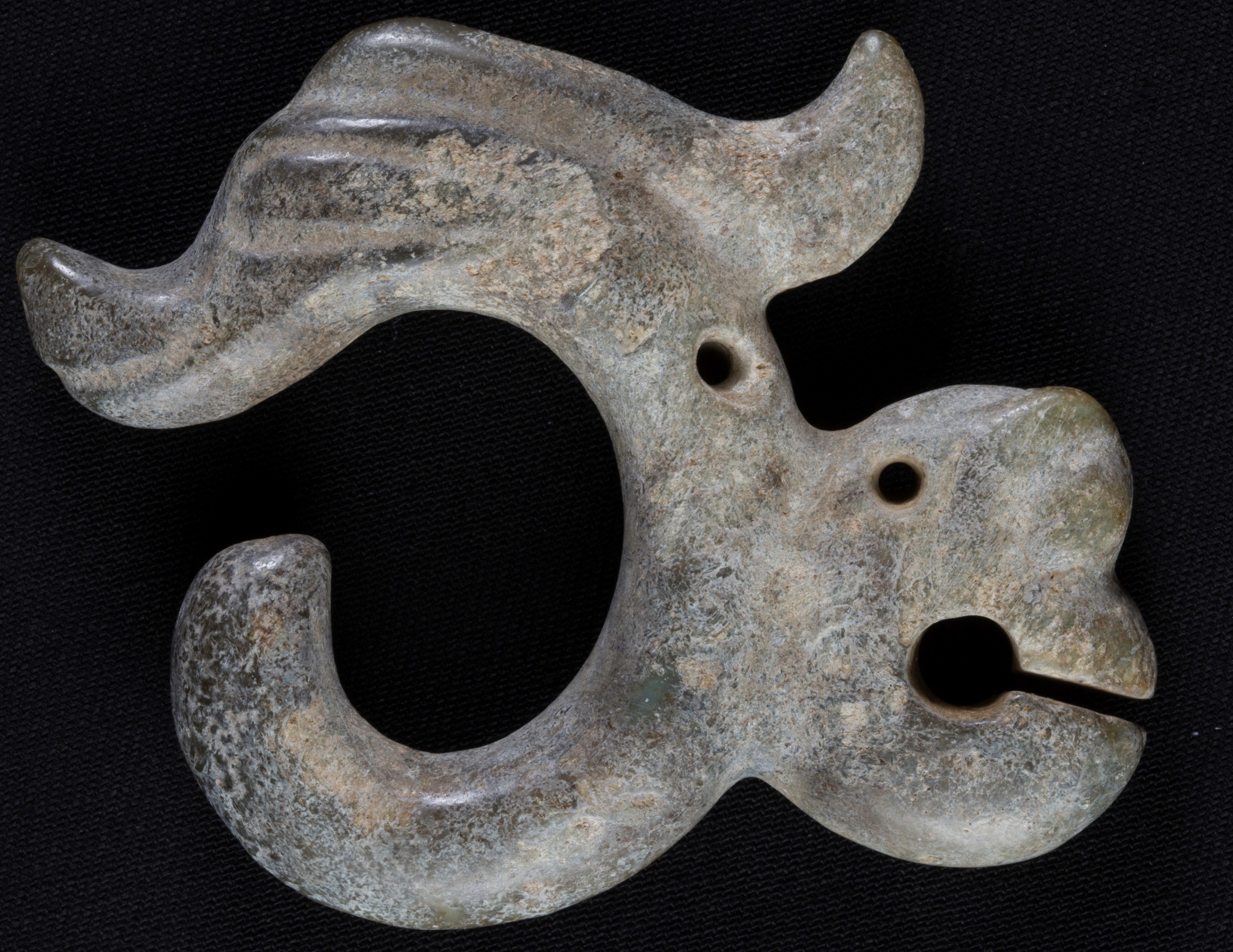 C-dragon and pig dragon