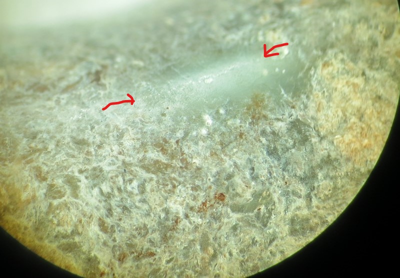 C-dragon pig dragon surface ferruginous plaque.