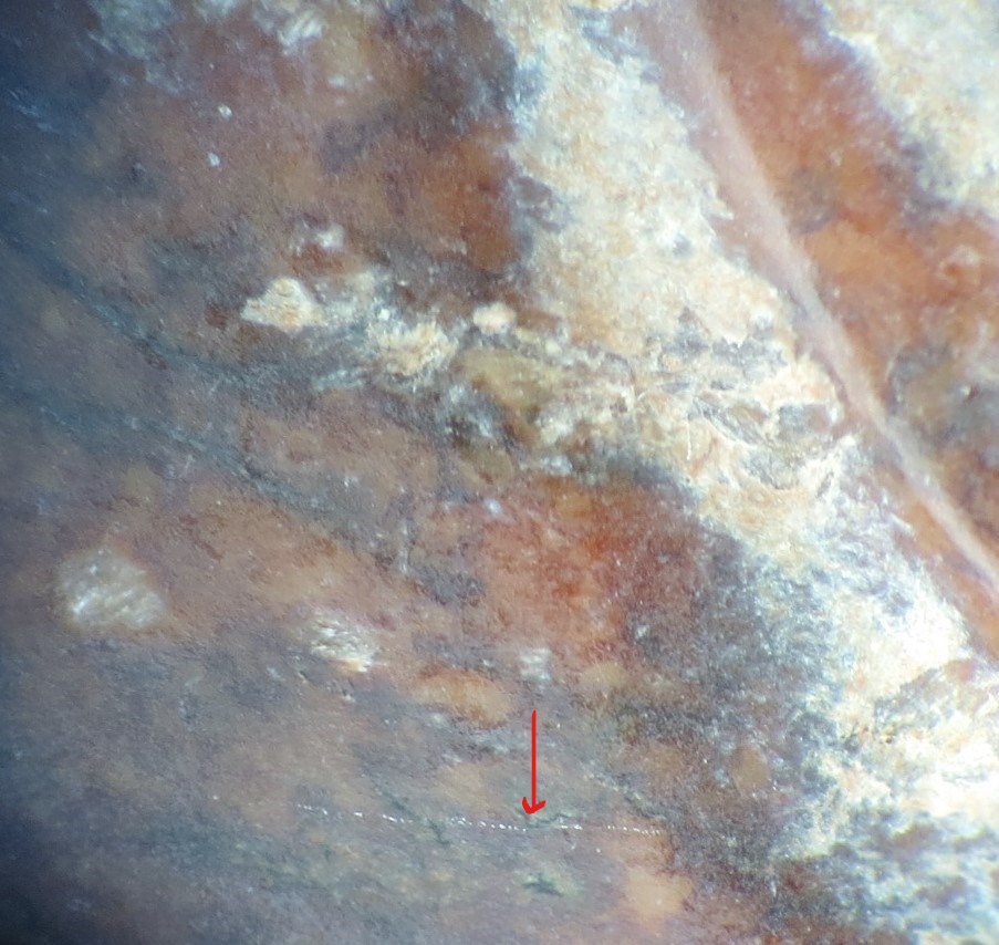 Clay and iron oxide crystals formed on figure 22 beast zoomorphic.
