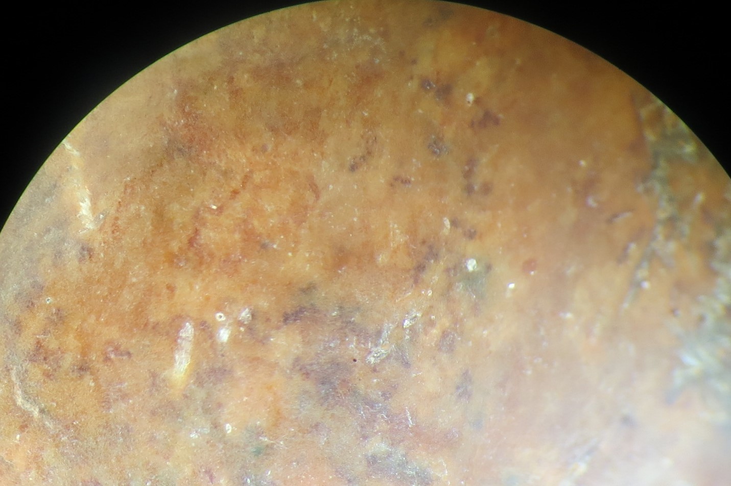 Figure 23b. Hematite covering the zoomorphic, giving the zoomorphic beast a reddish color